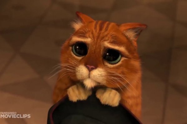 Kraken ссылка kraken014 com